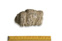 F 00051
<br/>
<br/>
<em></em>